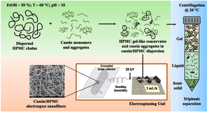 Source: Journal of Colloid and Interface Science. DOI: 10.1016/j.jcis.2025.137601